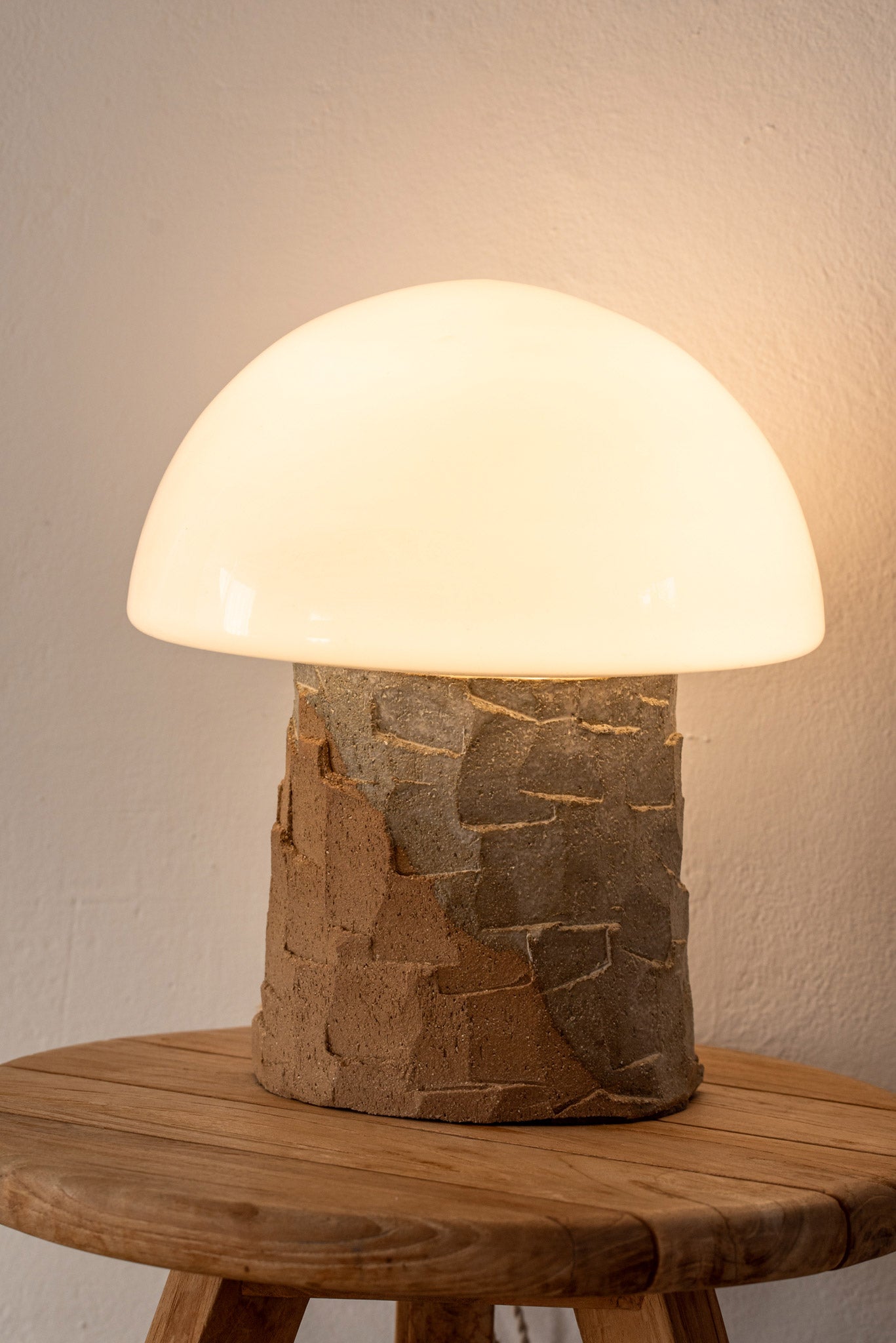 Fungi Lamps